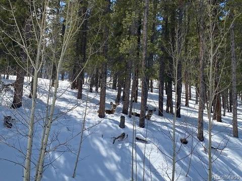 647 Gold Flake Ter, Bailey, CO 80421 photo 10