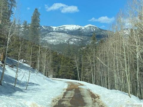 647 Gold Flake Ter, Bailey, CO 80421 photo 4