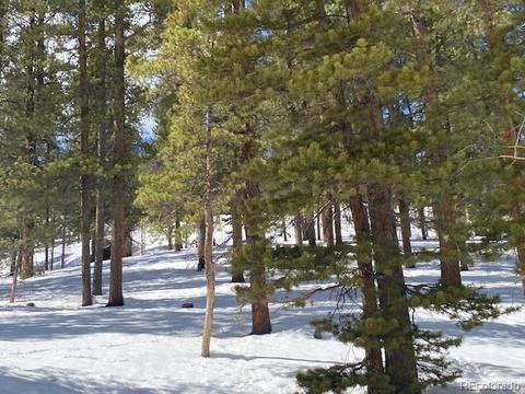 647 Gold Flake Ter, Bailey, CO 80421 photo 12