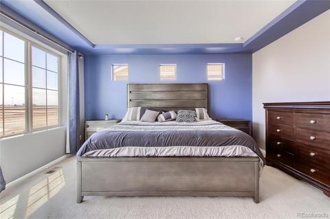 18294 E 52nd Ave, Denver, CO 80249 photo 19