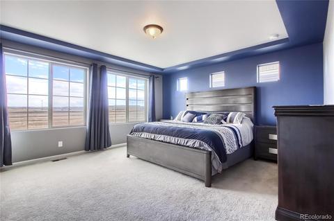 18294 E 52nd Ave, Denver, CO 80249 photo 15