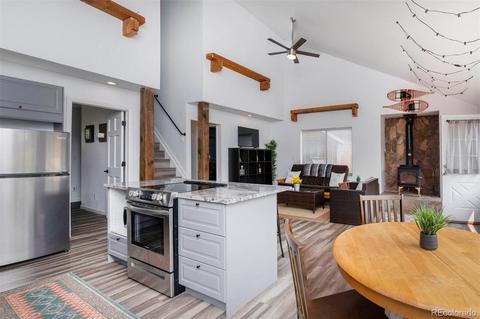 225 Appleby St, Bailey, CO 80421 photo 5