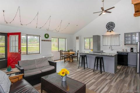 225 Appleby St, Bailey, CO 80421 photo 6