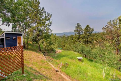 225 Appleby St, Bailey, CO 80421 photo 32