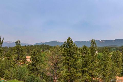 225 Appleby St, Bailey, CO 80421 photo 22