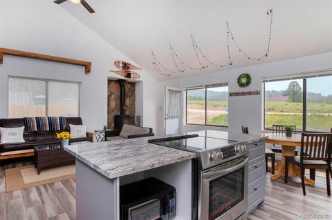 225 Appleby St, Bailey, CO 80421 photo 4