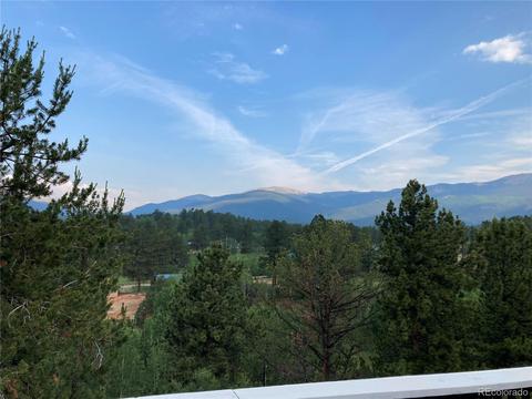225 Appleby St, Bailey, CO 80421 photo 34