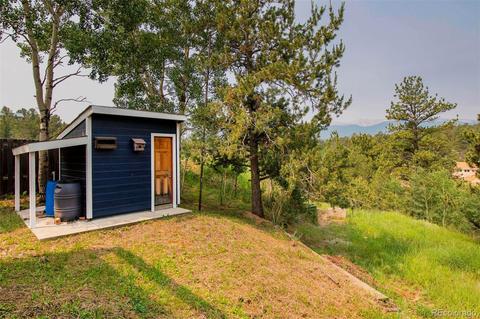 225 Appleby St, Bailey, CO 80421 photo 26