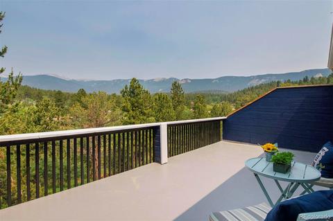 225 Appleby St, Bailey, CO 80421 photo 24