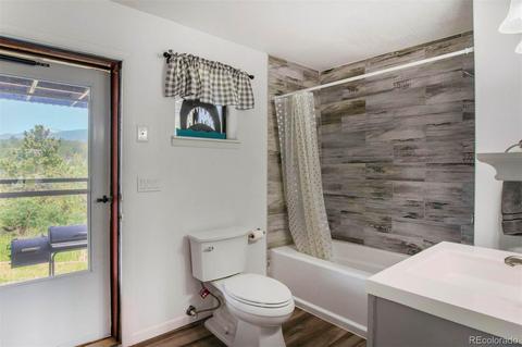 225 Appleby St, Bailey, CO 80421 photo 19