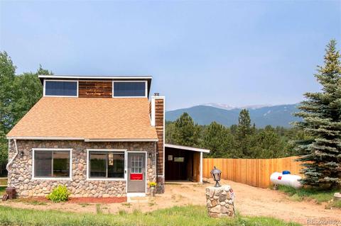 225 Appleby St, Bailey, CO 80421 photo 1