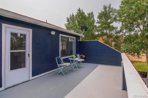 225 Appleby St, Bailey, CO 80421 photo 23