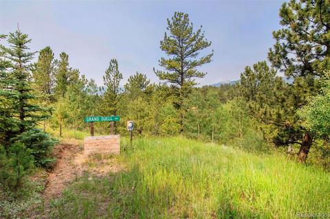 225 Appleby St, Bailey, CO 80421 photo 31