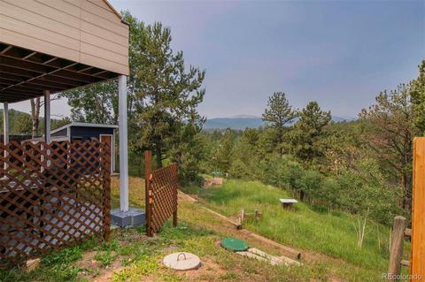 225 Appleby St, Bailey, CO 80421 photo 28