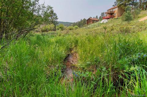 225 Appleby St, Bailey, CO 80421 photo 29