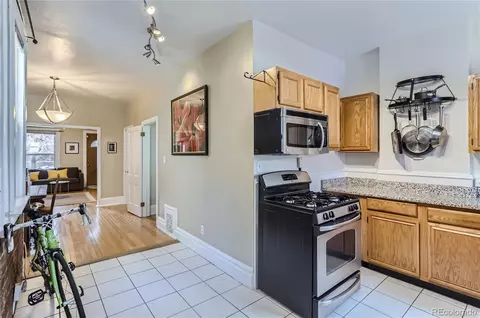 1013 E 10th Ave, Denver, CO 80218 photo 12