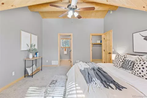 44 Pinion Rd, Bailey, CO 80421 photo 27