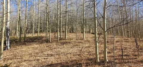 lot S 6414 6415 Bronfman Rd, Fort Garland, CO 81133