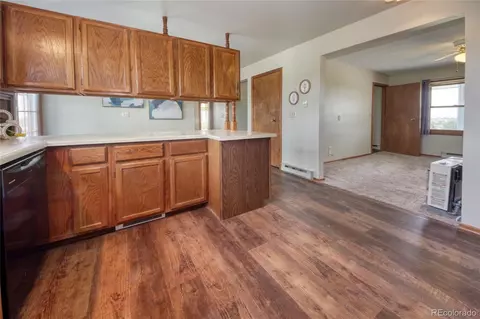 10995 Squawbush Loop, Peyton, CO 80831 photo 5