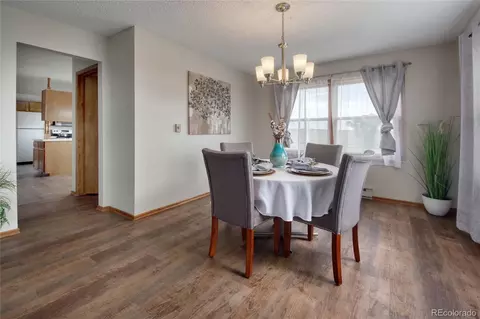 10995 Squawbush Loop, Peyton, CO 80831 photo 10