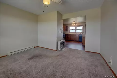 10995 Squawbush Loop, Peyton, CO 80831 photo 31