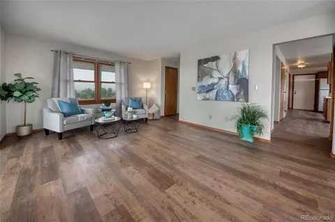 10995 Squawbush Loop, Peyton, CO 80831 photo 15