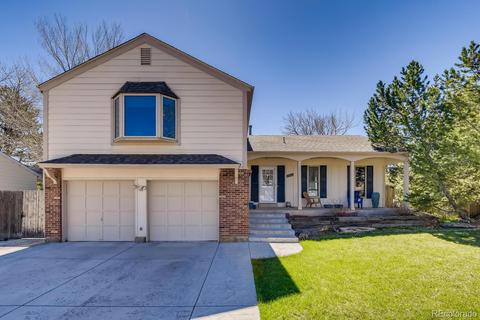 4652 S Vivian Ct, Morrison, CO 80465 photo 1