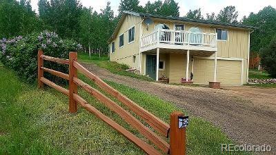 9893 Arnold St, Conifer, CO 80433 photo 24