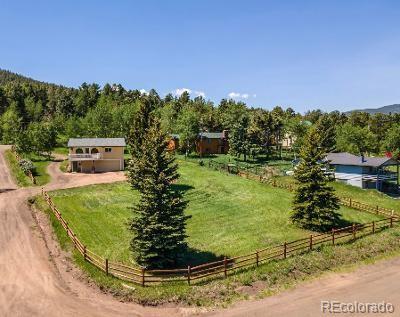 9893 Arnold St, Conifer, CO 80433 photo 7