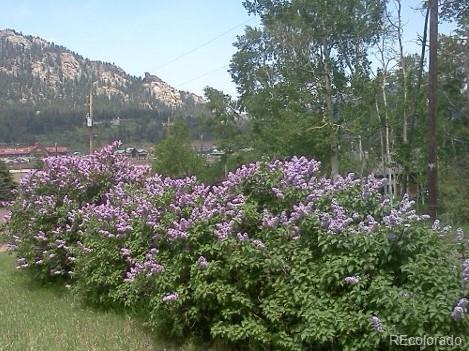 9893 Arnold St, Conifer, CO 80433 photo 23