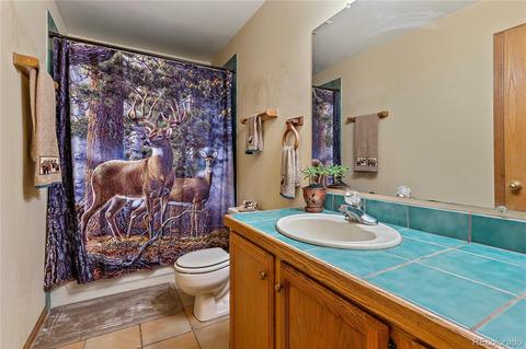 13219 Callae Dr, Conifer, CO 80433 photo 14