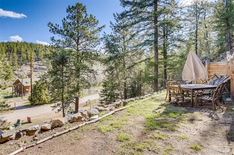 4812 County Road 64, Bailey, CO 80421 photo 3