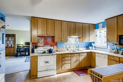 4812 County Road 64, Bailey, CO 80421 photo 5