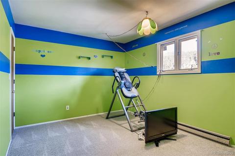 4812 County Road 64, Bailey, CO 80421 photo 9