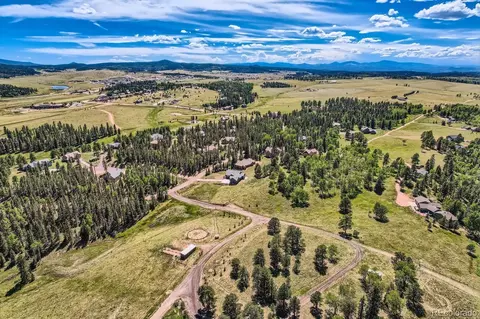 303 Pinaceae Hts, Divide, CO 80814
