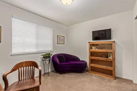 832 Mt Sneffels Ave, Windsor, CO 80550 photo 12