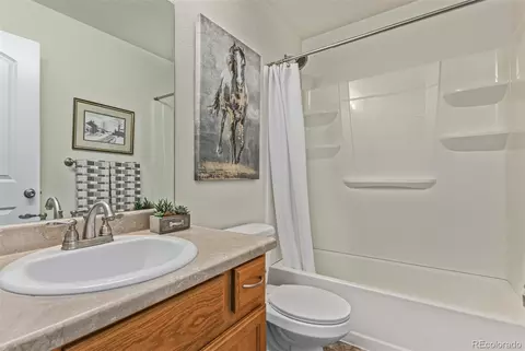 832 Mt Sneffels Ave, Windsor, CO 80550 photo 14