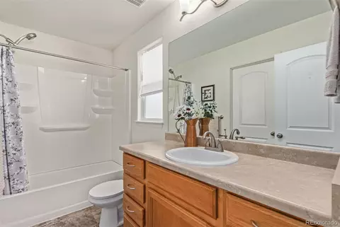 832 Mt Sneffels Ave, Windsor, CO 80550 photo 11