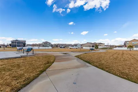 832 Mt Sneffels Ave, Windsor, CO 80550 photo 20