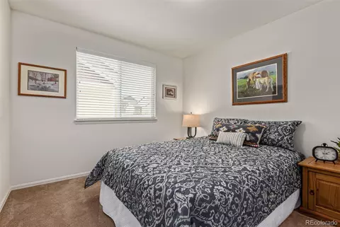 832 Mt Sneffels Ave, Windsor, CO 80550 photo 13
