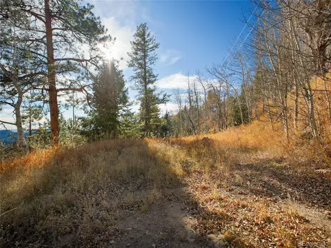 10256 Horizon View Dr, Morrison, CO 80465 photo 13