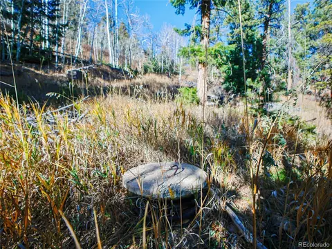 10256 Horizon View Dr, Morrison, CO 80465 photo 16