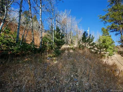 10256 Horizon View Dr, Morrison, CO 80465 photo 15