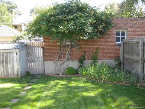 436 N Downing St, Denver, CO 80218 photo 19