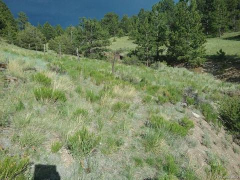 568 Kankakee Rd, Westcliffe, CO 81252 photo 14