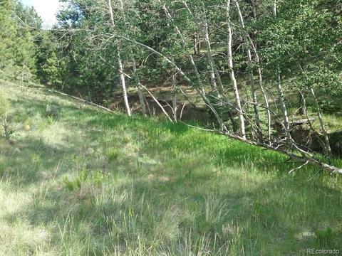 568 Kankakee Rd, Westcliffe, CO 81252 photo 21