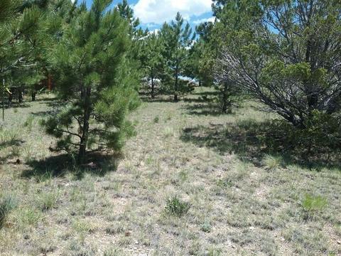 568 Kankakee Rd, Westcliffe, CO 81252 photo 8