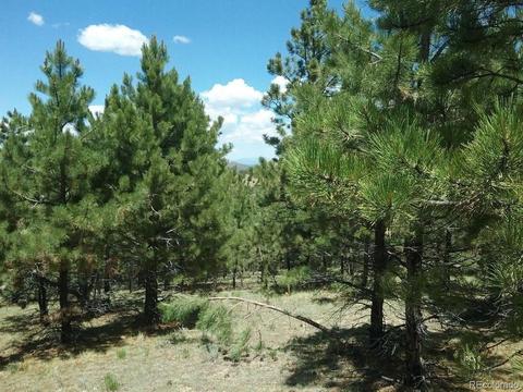 568 Kankakee Rd, Westcliffe, CO 81252 photo 11