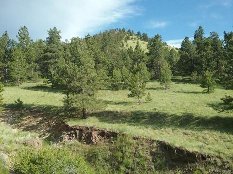 568 Kankakee Rd, Westcliffe, CO 81252 photo 15