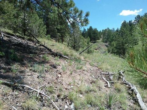 568 Kankakee Rd, Westcliffe, CO 81252 photo 5